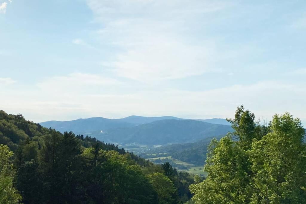 Mitten Im Bayerischen Wald + Schonblick + Urig + Netflix Schofweg Exterior photo